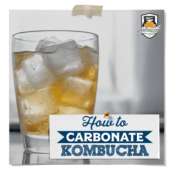 How To Carbonate Kombucha