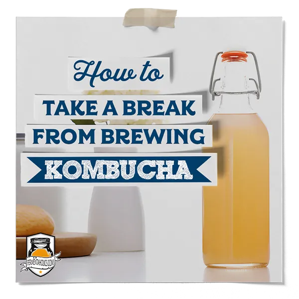How To Take A Break From Brewing Kombucha
