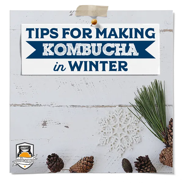 Tips For Making Kombucha In Winter