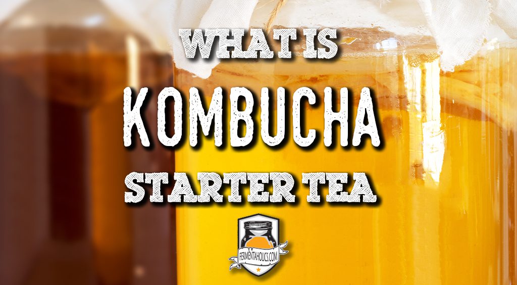 what is kombucha starter tea