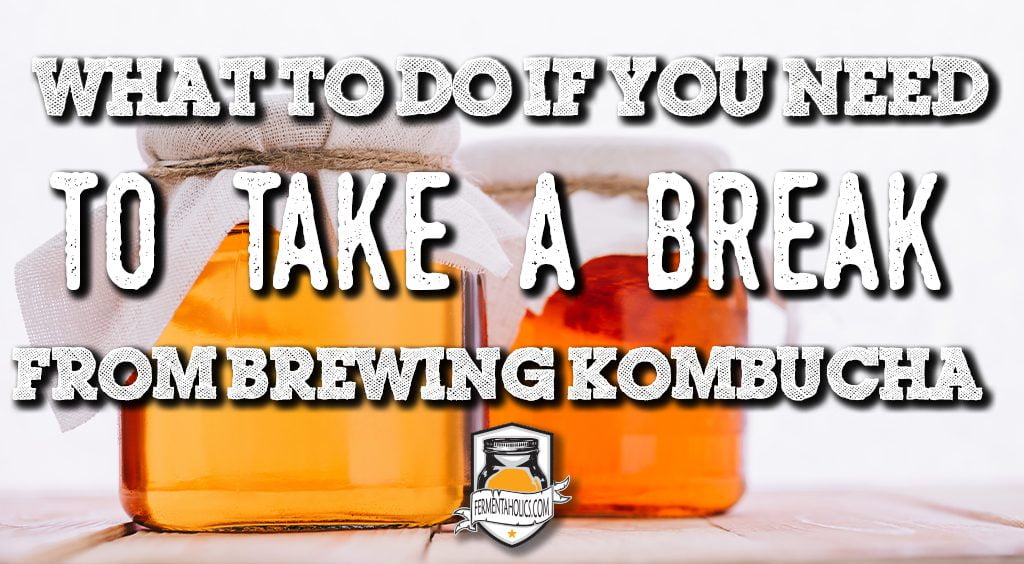 what to do if you need to take a break from brewing kombucha