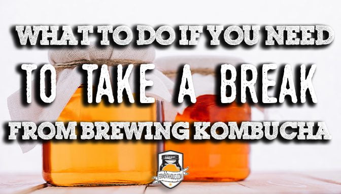 What To Do If You Need To Take A Break From Brewing Your Kombucha