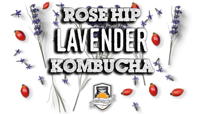 Rose Hip Lavender Kombucha