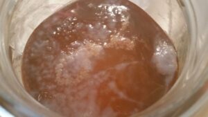 Kombucha Making FAQs:, Master The Tips, Tricks, & Troubleshooting