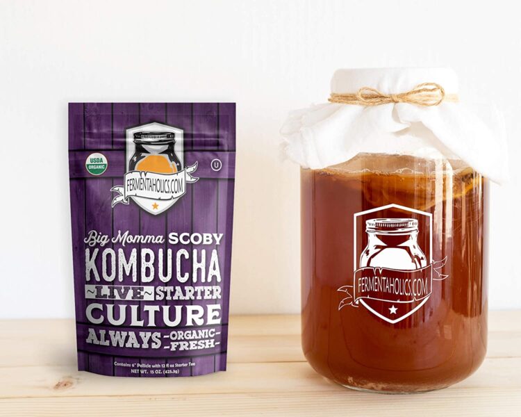 USDA Certified Organic Extra Large Kombucha Scoby