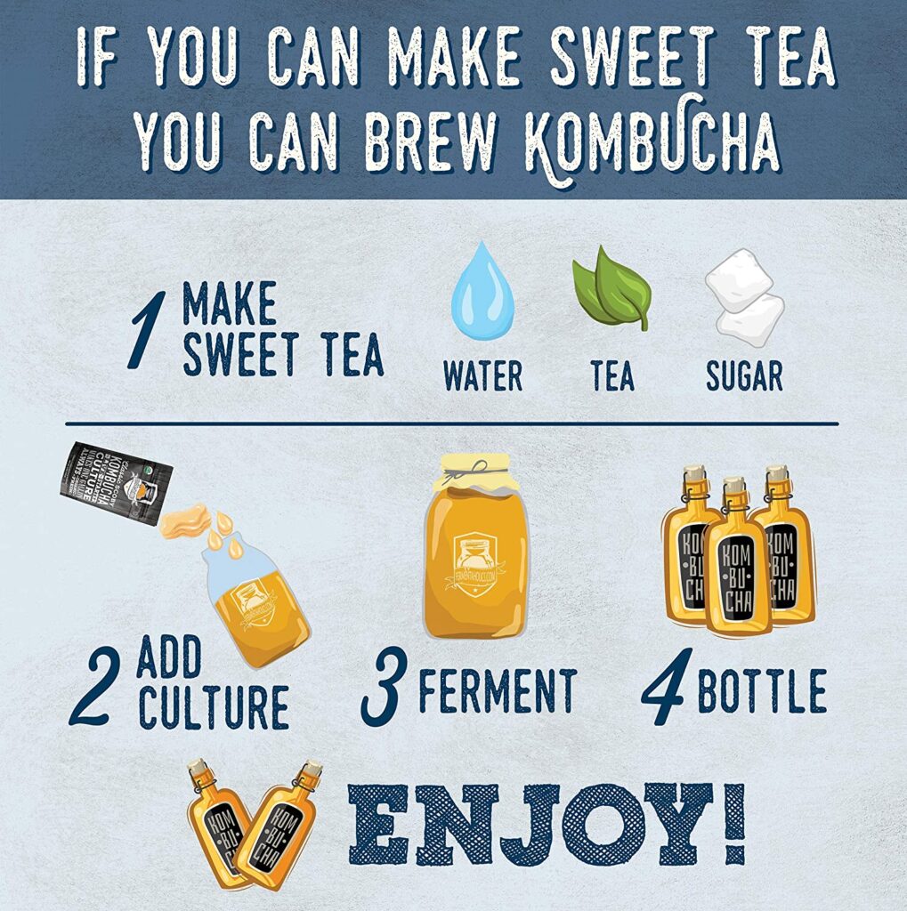 Live USDA Certified Organic SCOBY - Make Your Own Kombucha