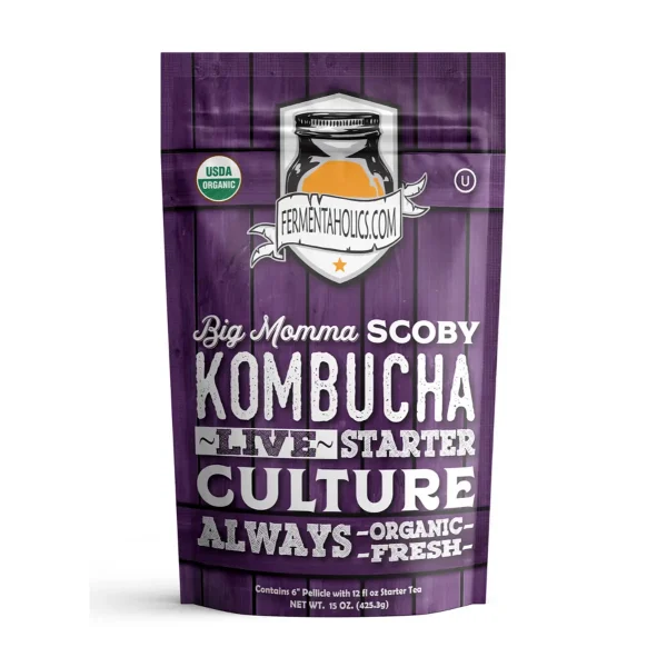 Big Momma Extra Large Kombucha Scoby