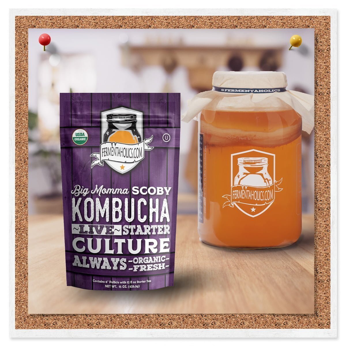 All About Scobies, The Mothers of Kombucha — Pomme Natural Market