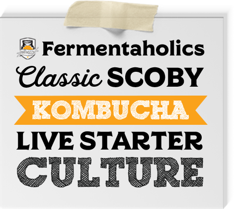 Classic Kombucha Scoby