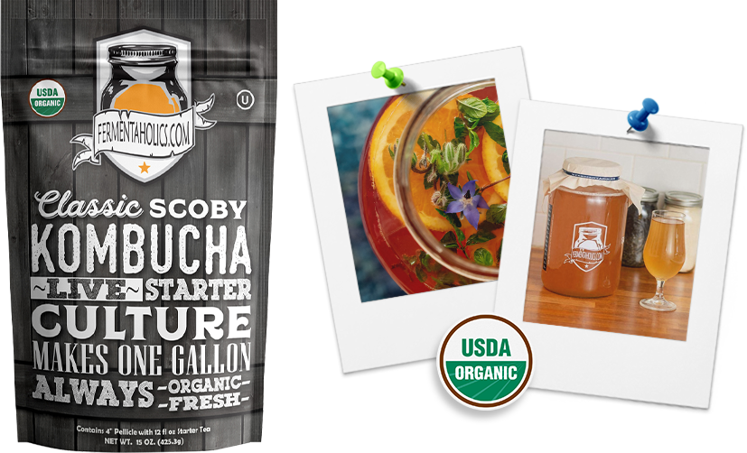 Classic Kombucha Scoby