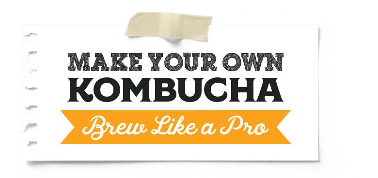 Make Your Own Kombucha