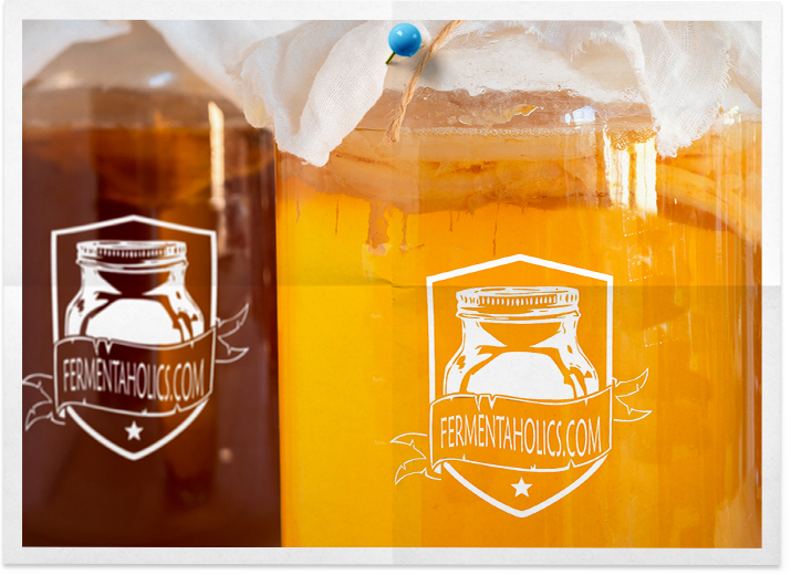 Organic Kombucha Scoby