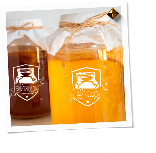 Classic Kombucha Starter
