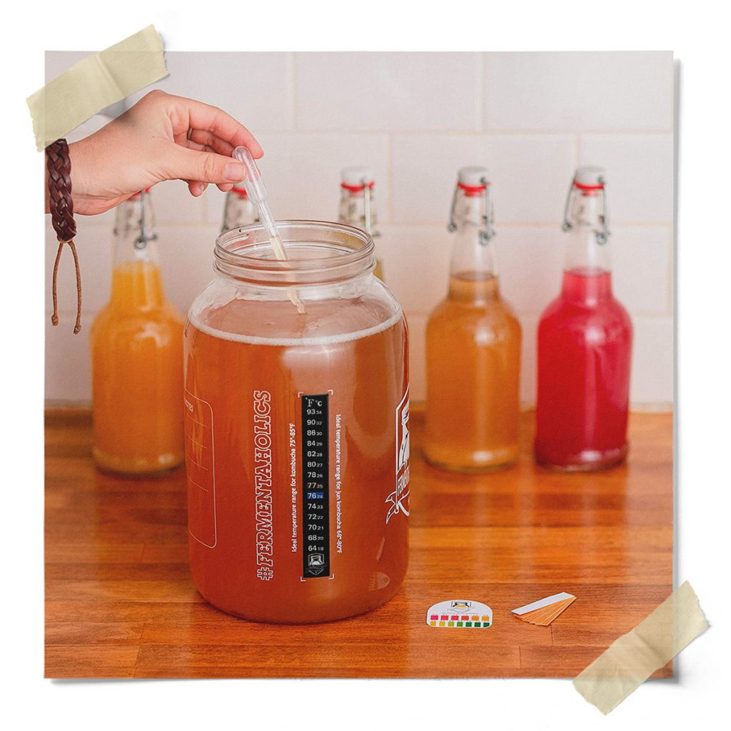 kombucha making kit