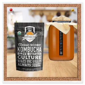 Organic Kombucha Brewing Essentials Kit