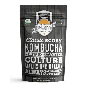 DIY Kombucha Kit