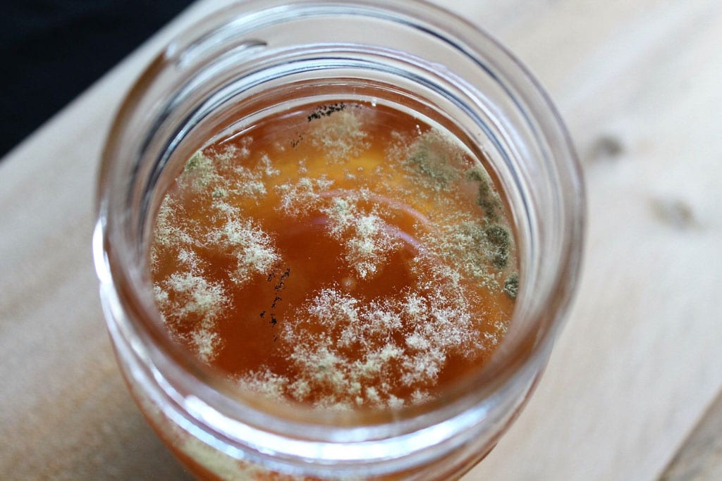 avoid-moldy-kombucha-with-these-3-steps-fermentaholics