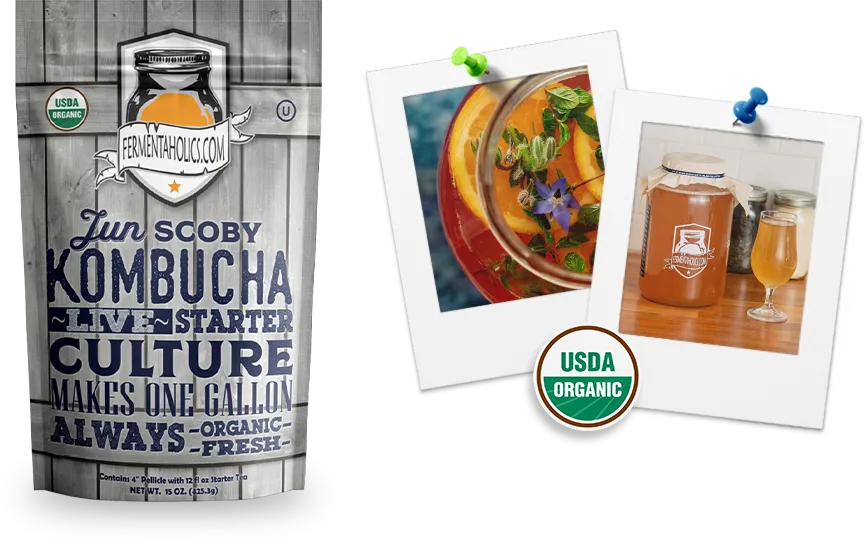 Jun Scoby Kombucha