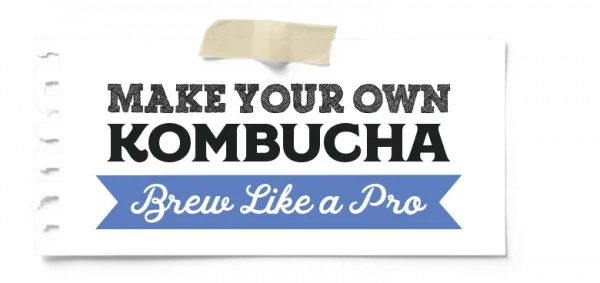 Make Your Own Jun Kombucha