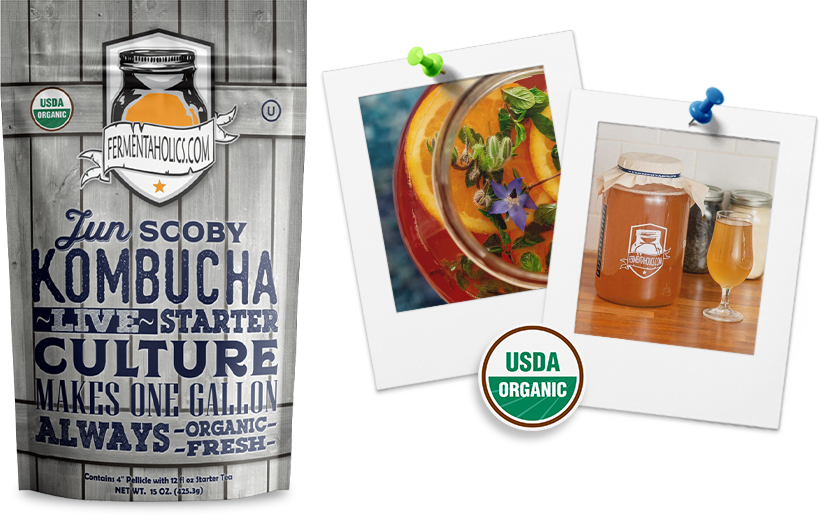 Jun Kombucha Scoby Starter Culture