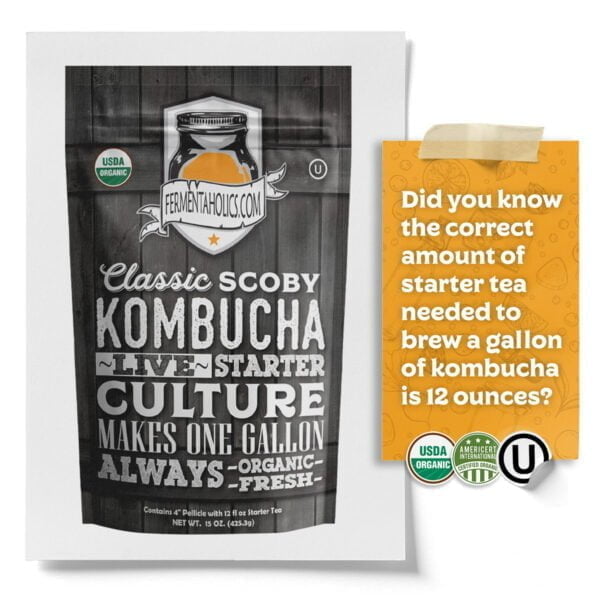  Kombucha Scoby and Starter Tea, Live Kombucha Starter Liquid,  Kombucha Tea Starter Culture, Brew Kombucha at Home, Makes a 1 Gallon Batch  of Kombucha, No Vinegar, No Artificial Flavors : Home