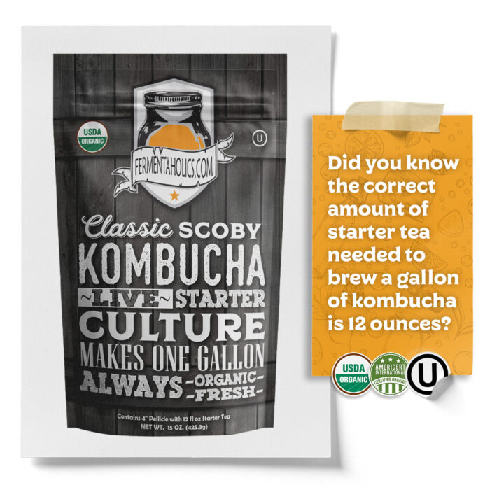 kombucha scoby