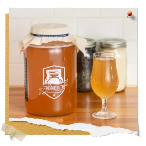SCOBY for Kombucha