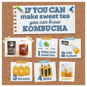 Kombucha Live Starter