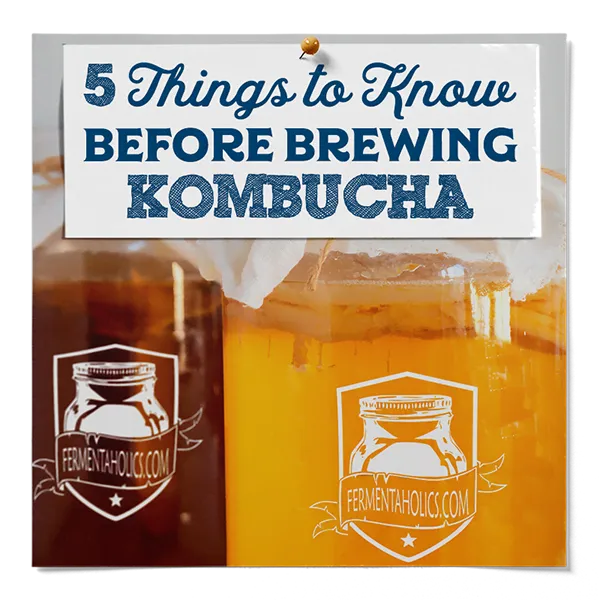 5 Things To Know Before Brewing Kombucha
