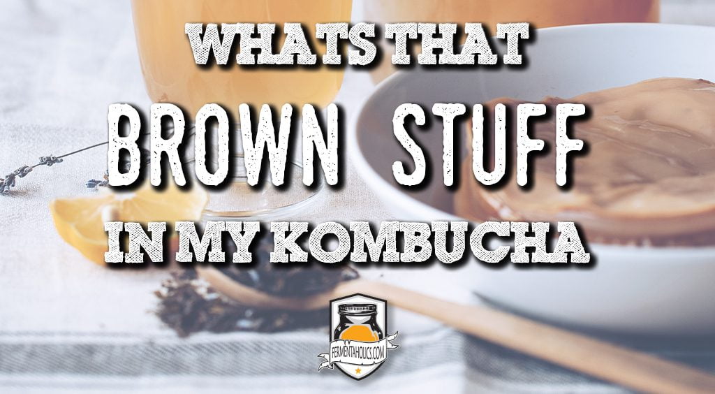 whats that brown stuff in my kombucha
