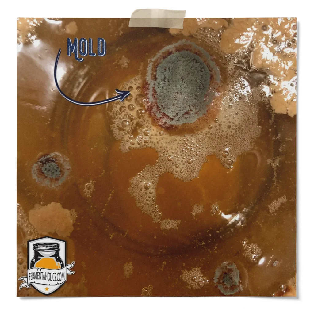 Brown Stuff Floating In My Kombucha