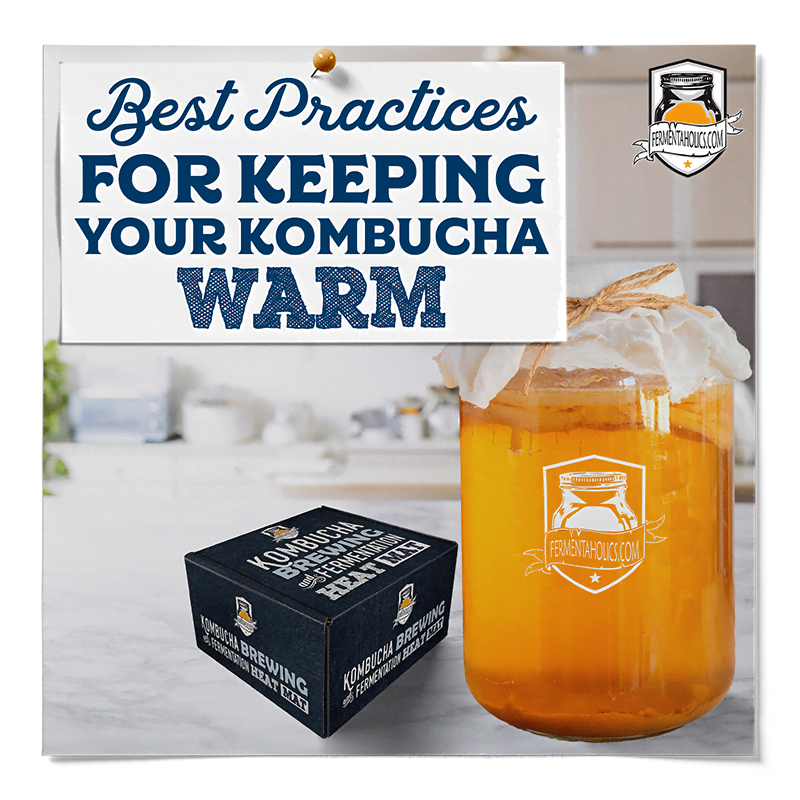 how to keep kombucha warm