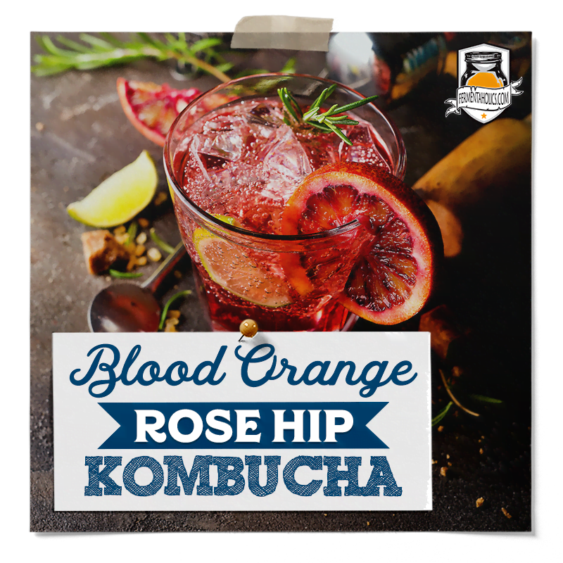 blood orange kombucha