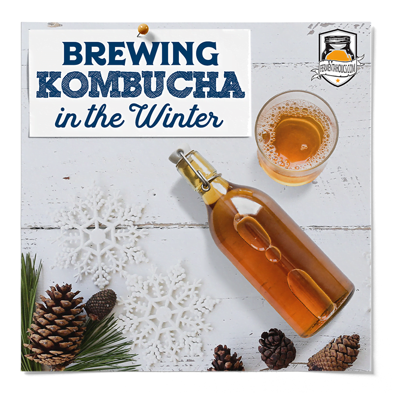 Brewing Kombucha In The Winter