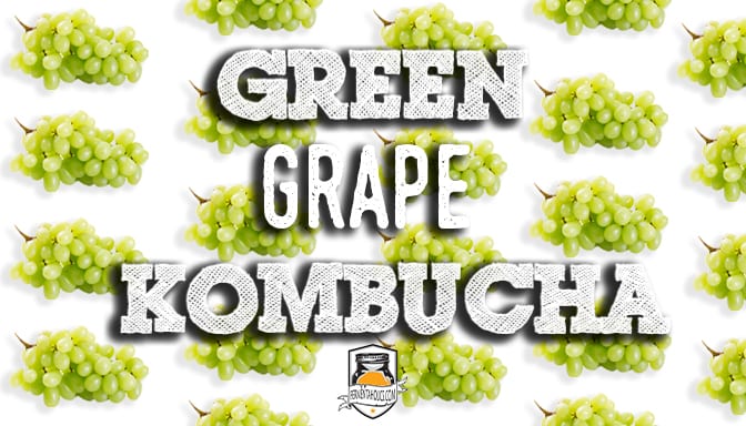 green grape kombucha