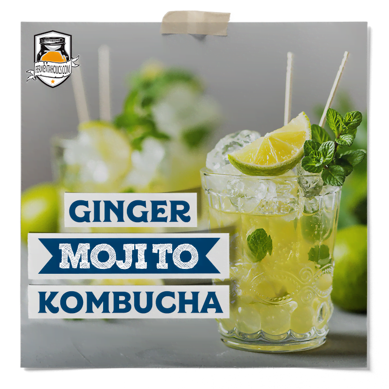 ginger mojito kombucha recipe
