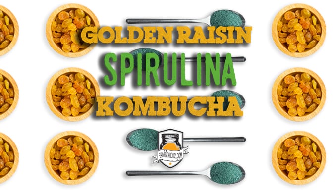 Golden Raisin spirulina kombucha