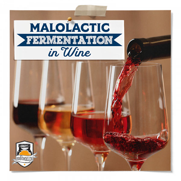 What Is Malolactic Fermentation