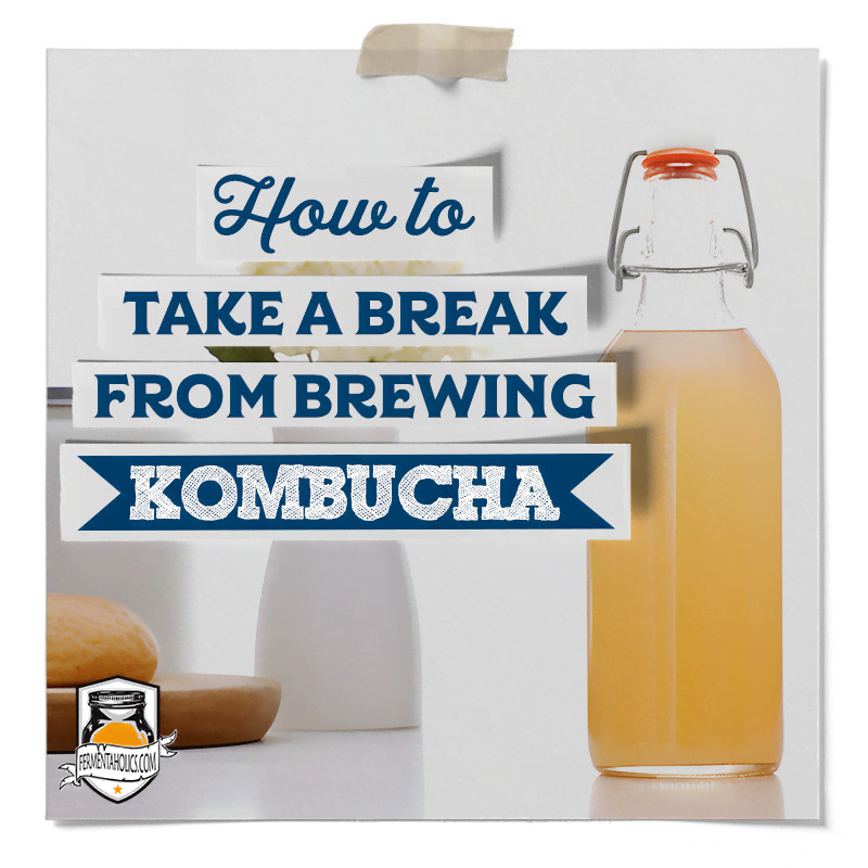 Take A Kombucha Brewing Break