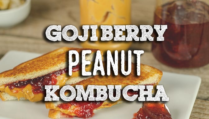 Goji berry peanut kombucha