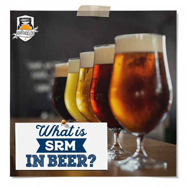 Beer Srm