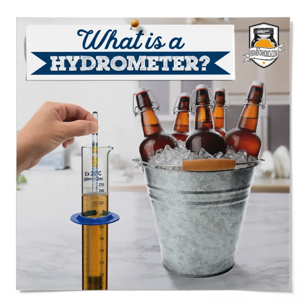 Hydrometer In Fermentation
