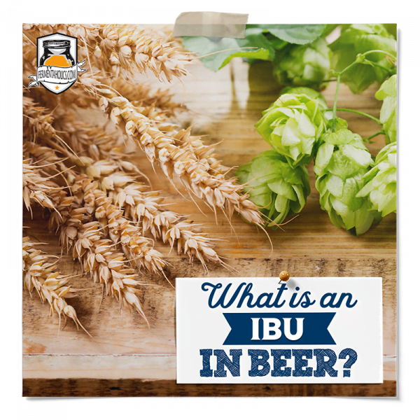 What Is An Ibu