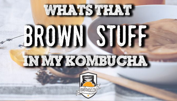 whats that brown stuff in my kombucha