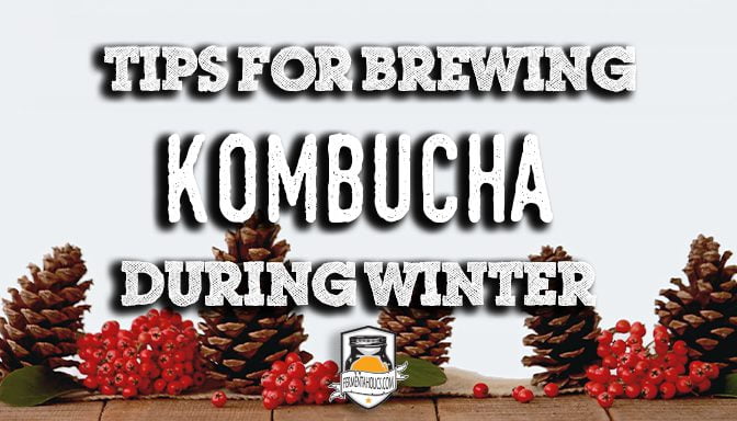 Tips for brewing Kombucha during winter