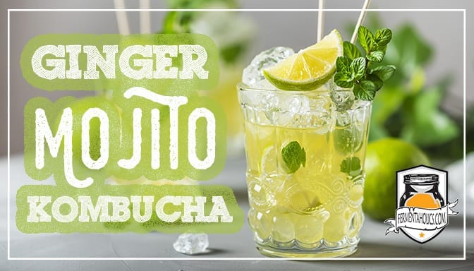 Ginger Lime Mint Mojito Kombucha Recipe