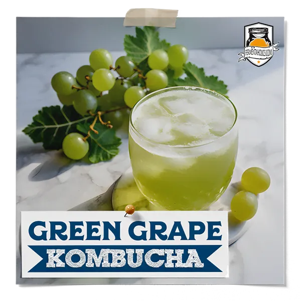 Green Grape Kombucha Recipe