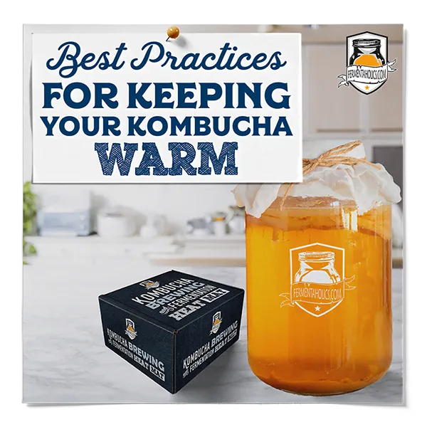 How To Keep Kombucha Warm