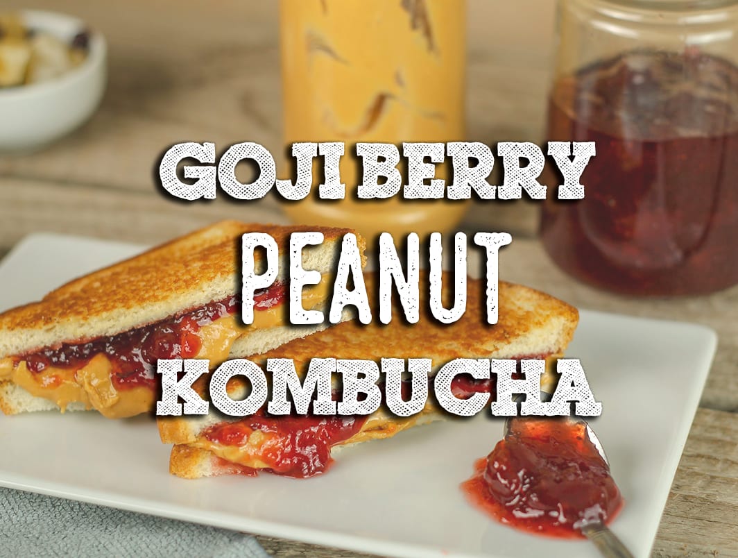 Goji Berry and Peanut Kombucha Recipe