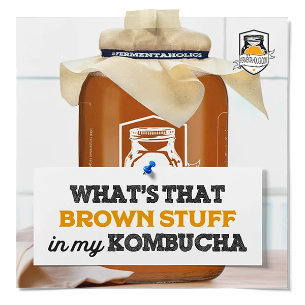 What'S That Brown Stuff In My Kombucha